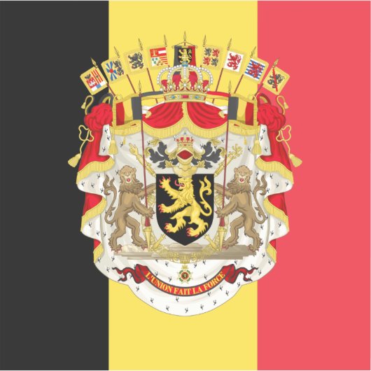 Sticker Belgium Flag & COA (Devant)