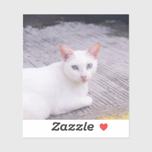 Sticker Belle Chat Blanc (Feuille)
