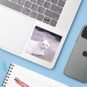 Sticker Belle Chat Blanc (Ordinateur portable avec iPhone)