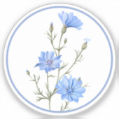 Sticker Belle Chicorée Fleur Herbe Bleue Pervenche (Recto)