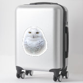 Sticker Belle, Dreamy et Serene Snowy Owl (Sur valise)