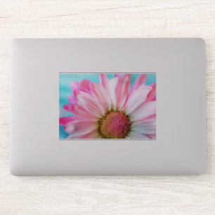 Sticker Belle Fleur rose Gros plan Photo
