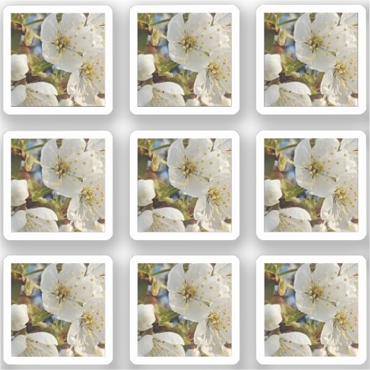 Sticker Belle Grille Springflower (Recto)