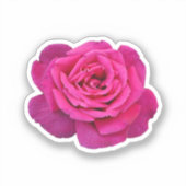 Sticker Belle rose rose (Recto)