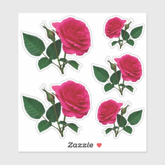 Sticker Belle rose rouge photo Transparent CC1145 (Feuille)