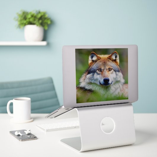 Sticker Belle tête de loup Peinture (Ordinateur portable sur le bureau)