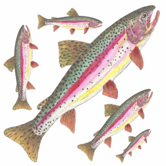 Sticker Belle truite arc-en-ciel = 5 images sur la même (Devant)