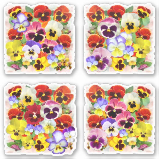 Sticker Belles Pansies Contour (Devant)