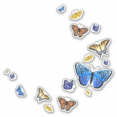 Sticker Belles papillons (Devant)