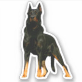 Sticker berger allemand, noir (Devant)