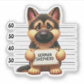 Sticker Berger allemand vilain (Devant)