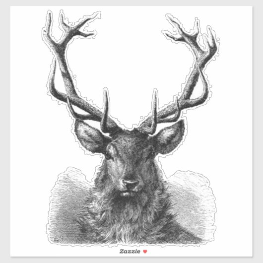 Sticker Big Buck (Feuille)
