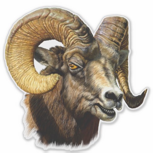 Sticker BighorRam Mountain Sheep Faune Nature (Devant)