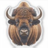 Sticker Bison / Buffalo (Devant)