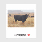 Sticker Black Angus Steer Grazing (Feuille)