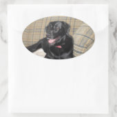 Sticker Black Lab (Sac)