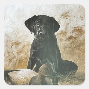 STICKER Black Lab labradors rekent de upland-hond 