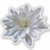 Sticker Blanc floral blanc marguerite blanc maman blanche  (Devant)