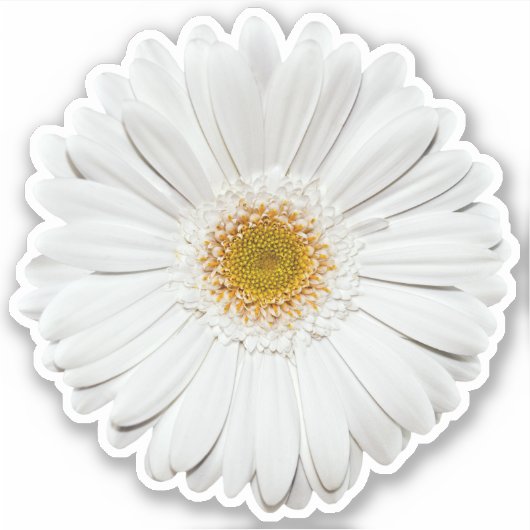 Sticker blanc Gerber Daisy Flower Kiss Cut (Devant)