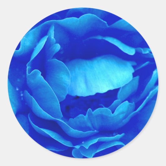 Sticker blauw Roos - (Voorkant)