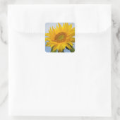 Sticker bleu floral de tournesol jaune / Sceau (Sac)