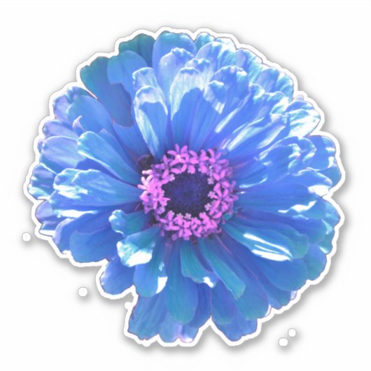 Sticker Bleu marguerite bleu photo florale (Devant)
