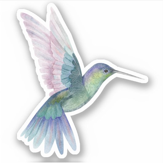 Sticker Blue Green Humminbird Nature (Devant)