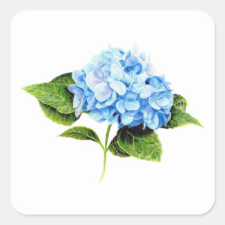 Sticker Blue Hydrangea