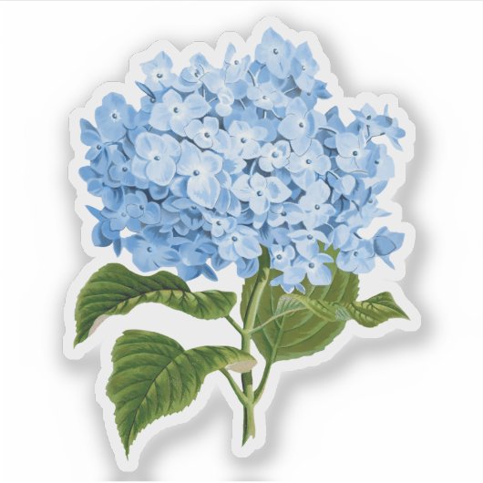 Sticker Blue Hydrangea Grandmillennial (Devant)