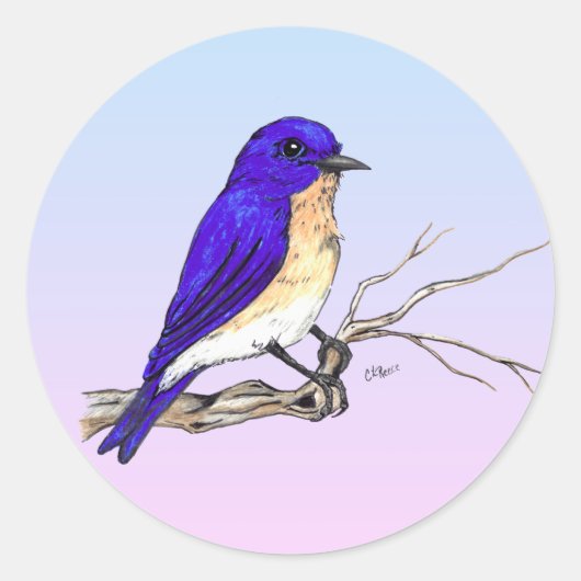 Sticker Bluebird (Devant)