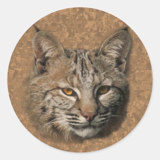 Sticker Bobcat (Devant)