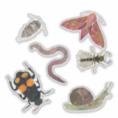 Sticker bogues (Devant)
