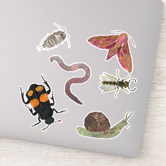 Sticker bogues (Détail)