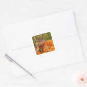 Sticker bon thanksgiving Little Chipmunk (Enveloppe)