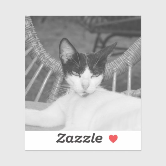 Sticker Bonjour, Meow... (Feuille)