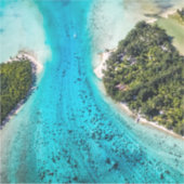 Sticker Bora Bora - Chemin Vers L'Océan (Devant)