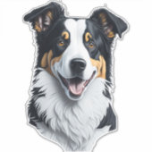 Sticker Bordure face Collie (Devant)
