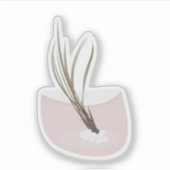 Sticker Botanique Air Plantes Tillandsia Terrarium (Devant)