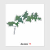 Sticker Botanique classique de lierre vintage (Feuille)