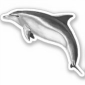 STICKER BOTTLENOSE DOLPHIN (Recto)