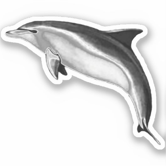 STICKER BOTTLENOSE DOLPHIN (Recto)