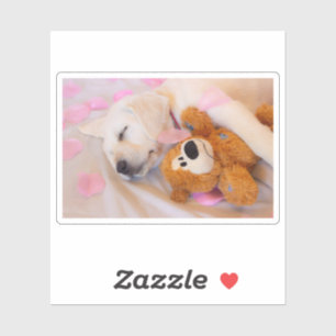 Sticker Boucles de chiots 02