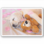 Sticker Boucles de chiots 02 (Devant)