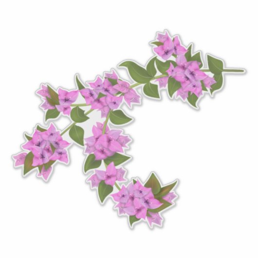 Sticker Bougainvillea decal (Devant)