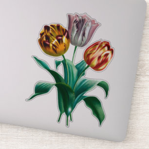Sticker Bouquet coloré Vintage Aquarelle Tulip Fleurs