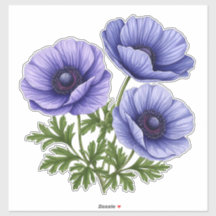 Bouquet d'anémones violettes