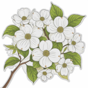 Sticker Bouquet de fleurs de cornouiller blanc sur une bra