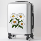 Sticker Bouquet de pâquerettes blanches (Sur valise)