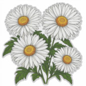 Sticker Bouquet de pâquerettes blanches (Devant)