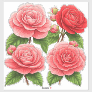 Sticker Bouquet de rose camélia éclatante